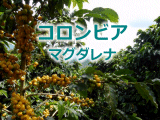 �R�����r�A�@�}�O�_���i