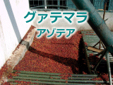 �O�@�e�}���@�A�]�e�A