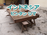 �C���h�l�V�A�@���_���@�H��