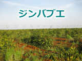 �W���o�u�G