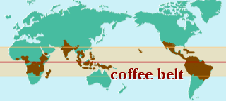 コーヒーベルト