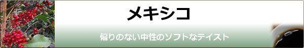 メキシコimg