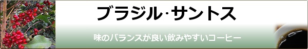 ブラジル・サントスimg